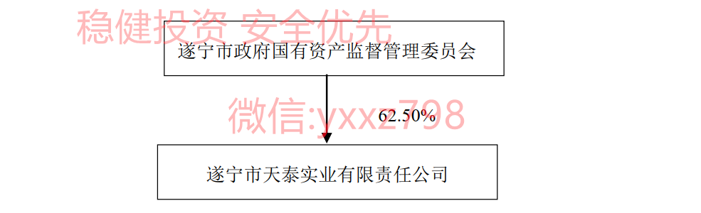 遂宁天泰实业项目分析