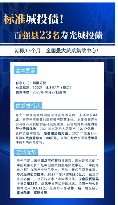金泽城投债6号 寿光滨海远景基金1年期