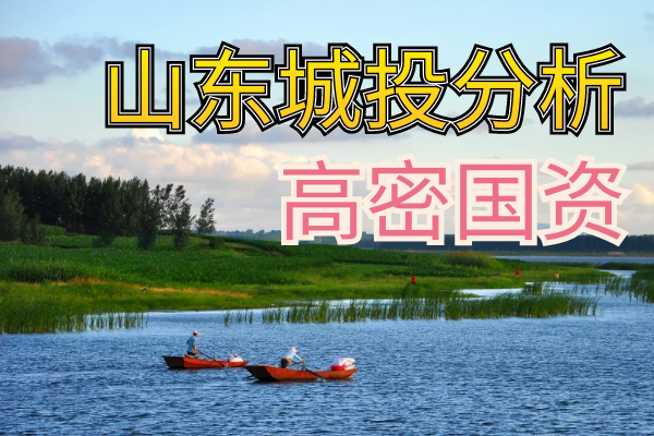 潍坊高密国资，AA评级  定融已经暴雷