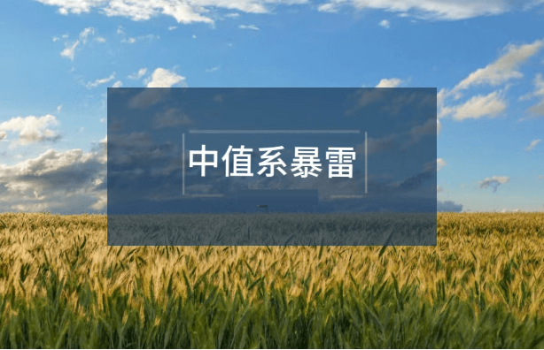 “中Z系”集团又一财富公司暴雷：多个定融项目展期！