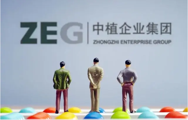 财富信托止兑，中植前途难测，投资者该怎么办？