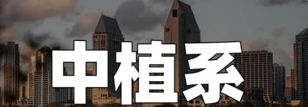 中植集团的定融融资该怎么理解，是怎么融资的