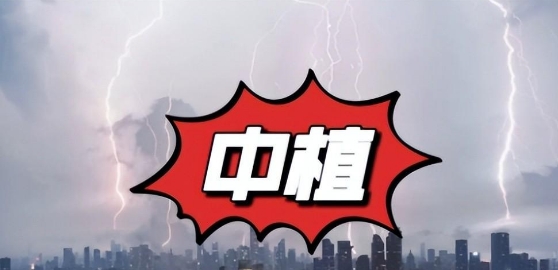 中植内部重要讲话流出