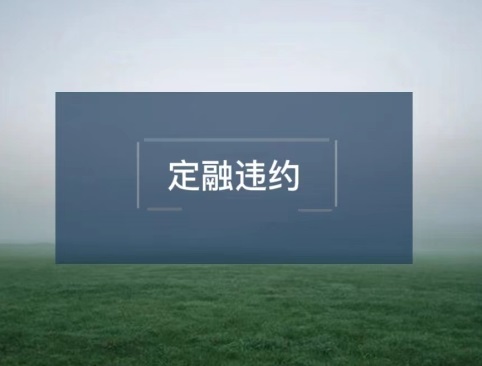 潍坊滨海新城定融违约，10万块钱拖欠5个月之久了