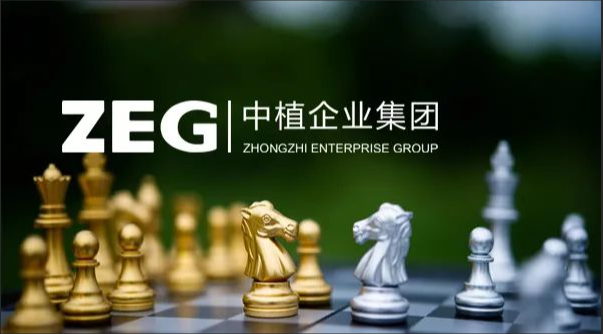 中植集团向投资者致歉！
