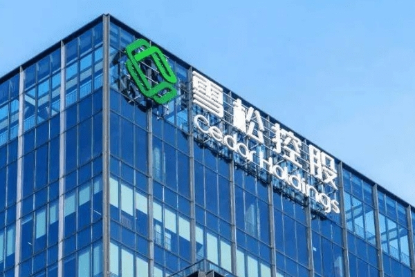 涉嫌非吸！雪松信托多名理财经理被带走调查！