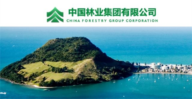 首家商票实质逾期的央企——中国林业集团