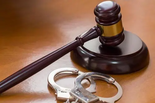 “中植系”财富公司涉及的主要刑事犯罪