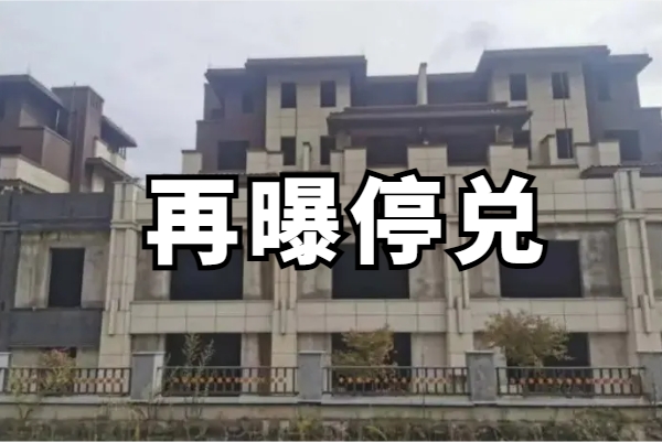万向信托-980号地产项目停兑