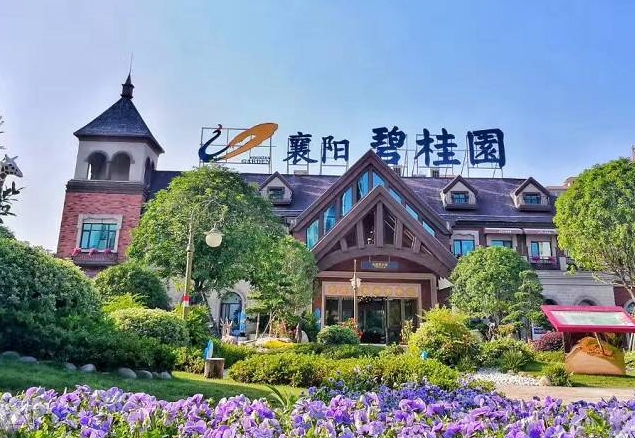 24年碧桂园商票逾期是否好转？