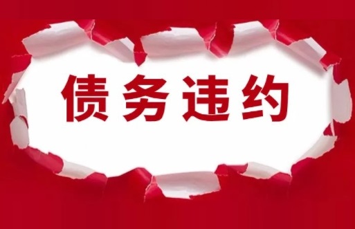 剑指寿光昇景！全国闻名的“蔬菜之乡”定融违约不兑付！