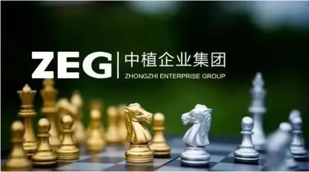 中植系，突发！已对主涉案人员采取强制措施，案件侦办和追赃挽损工作进行中