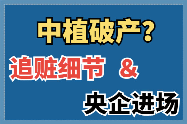 传中植破产，追赃细节及央企进场