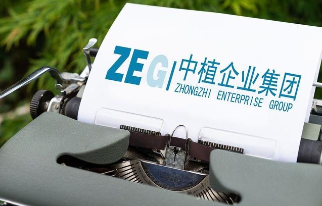 曾在中植系工作多年的人发文对中植定融作终极研判（1）
