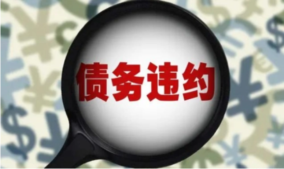 某AA城投3000万债务违约！