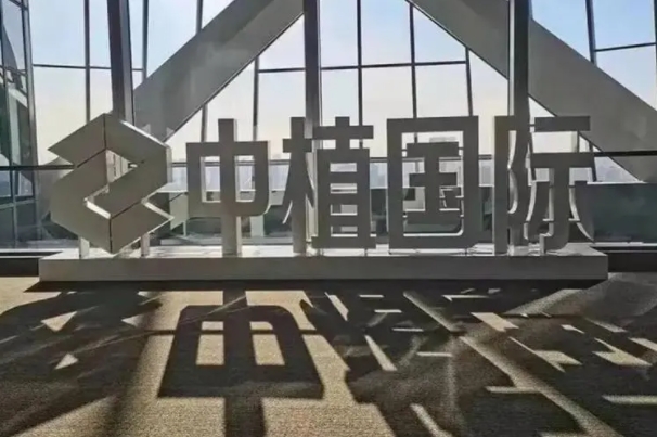 中植丨有关听证会的一些内容