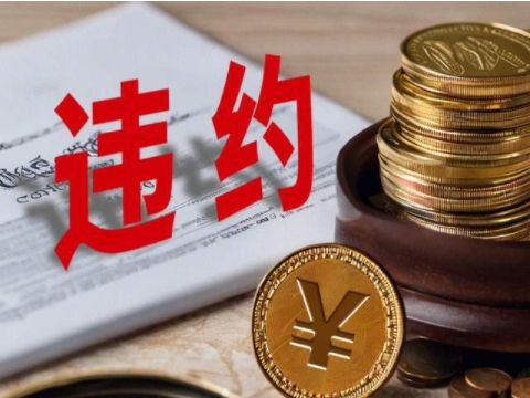 “菜都”寿光某城投债权违约！