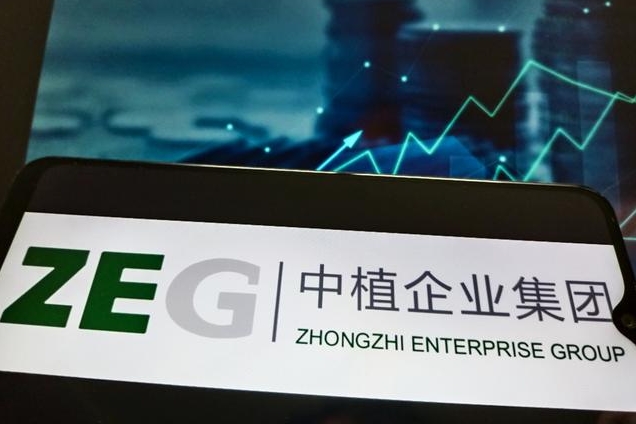 中植系定融处置方案预测