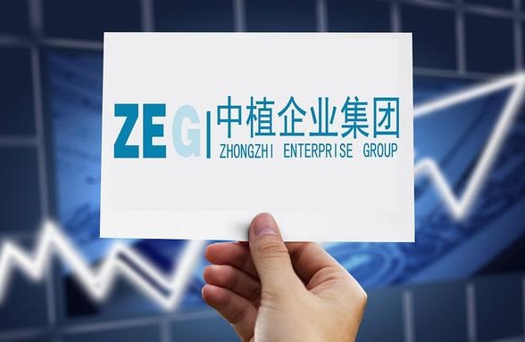 最新：中植国际19亿元被北京金融法院执行立案