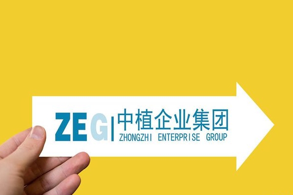 中植系，近期消息汇总，被执行人，股权拍卖，被提公诉……