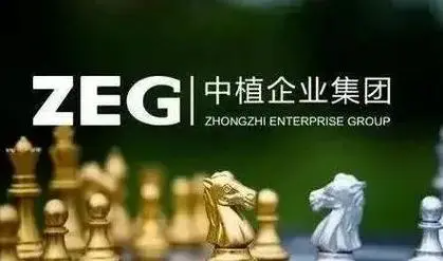 中植系事件中，平安银行是否存在代收情况和资金监管问题？