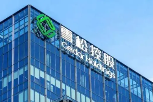 国盛金控表示，将对雪松信托采取强制执行措施维权