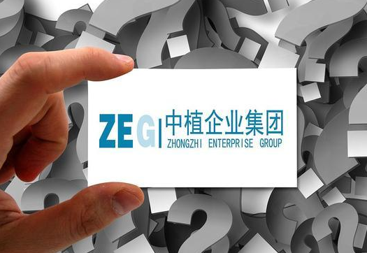 中植系旗下三家公司联合申请撤销仲裁
