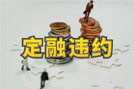潍坊滨海蓝海水务定融产品违约风波：从逾期到分期兑付的漫长等待