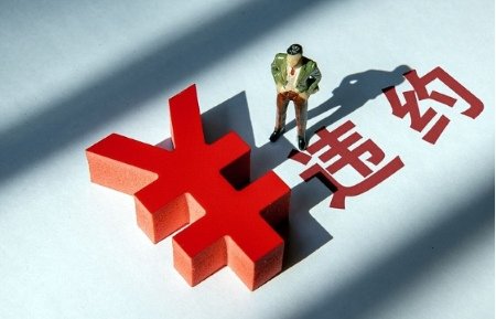 AA+担保失效！日照市XLS财金2024债权计划利息逾期，三重保障沦为空谈