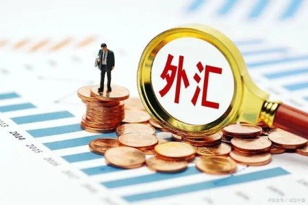 大白话解惑：为啥外汇储备要买买美债，不能拿回国花？