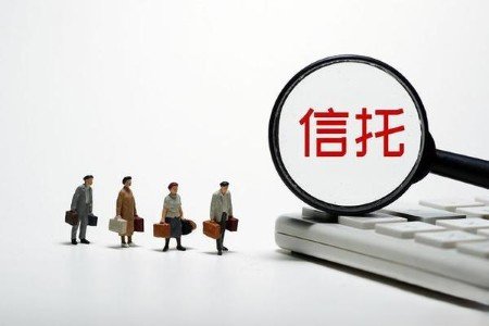 曾被用作“菜园”的某信托项目地块，如今怎样了
