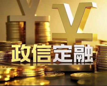 了解政信定融《项目说明书》