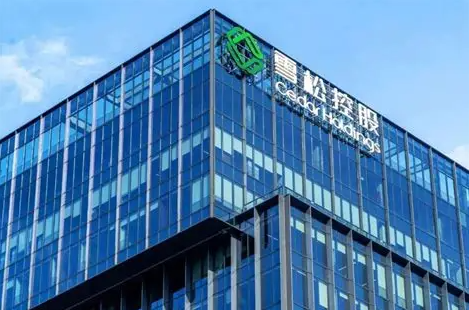 雪松集团最新：多名理财经理被判刑！