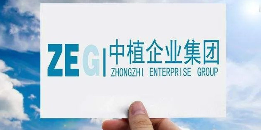 再次延期！！！中植集团无人“接盘”……